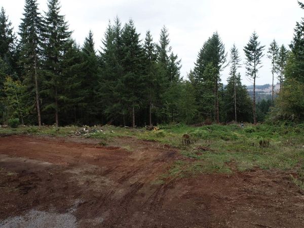 25005 Springer Rd, Sweet Home, OR 97386