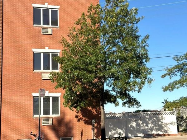 62-11 Woodside Avenue , Woodside, NY 11377