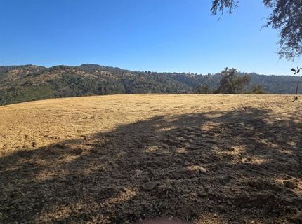 7606 S State Hwy 49, Jackson, CA 95642 Photo