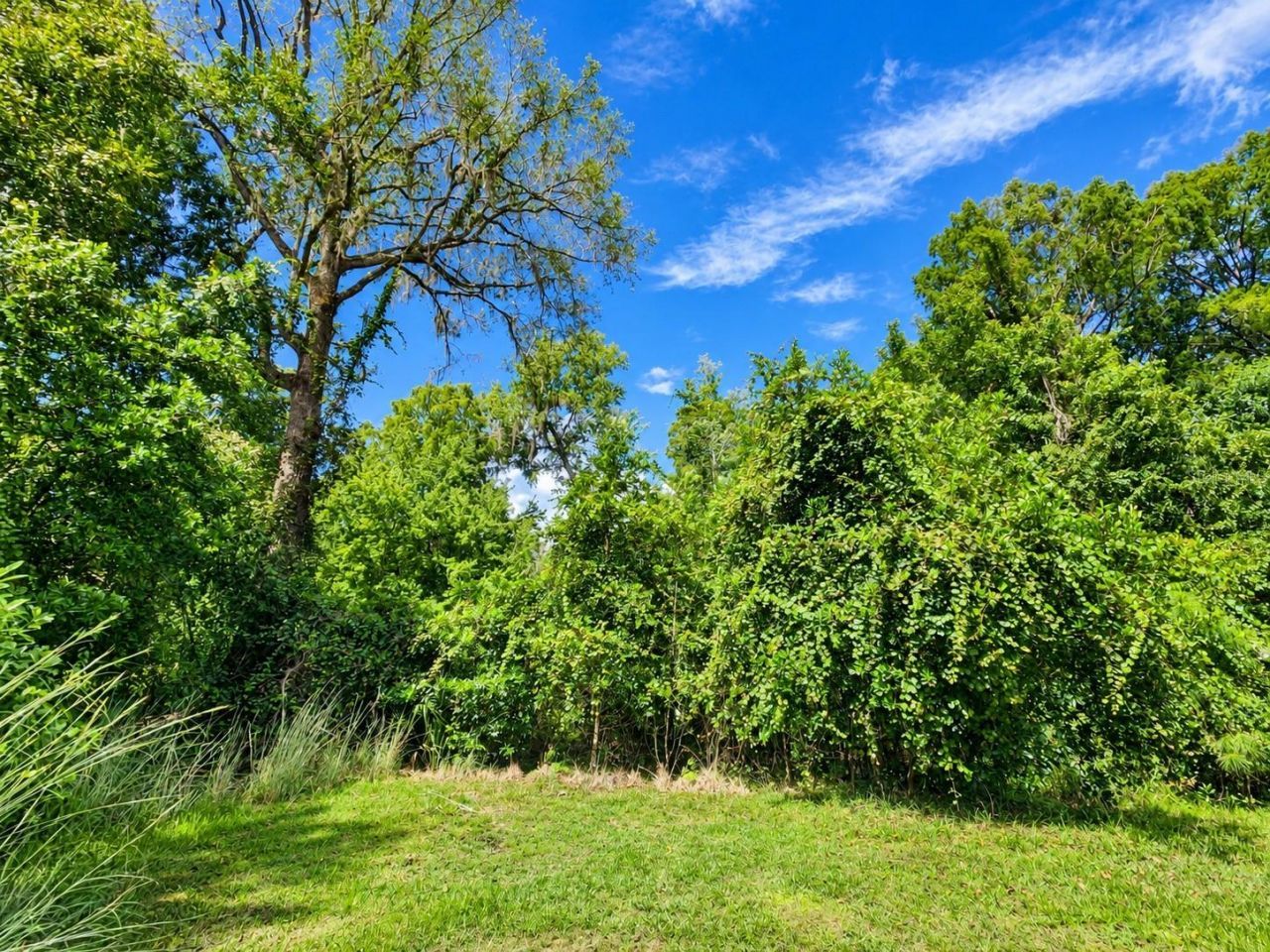126 Bayberry Road, Georgetown, FL 32139 Photo