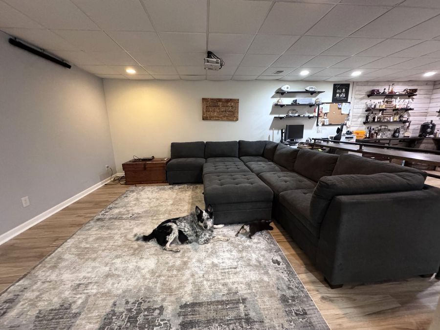 Property Image 39