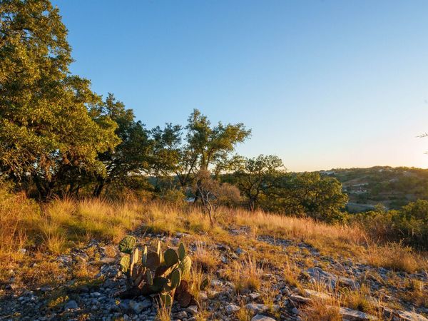 259 Lookout Pt, Comfort, TX 78013