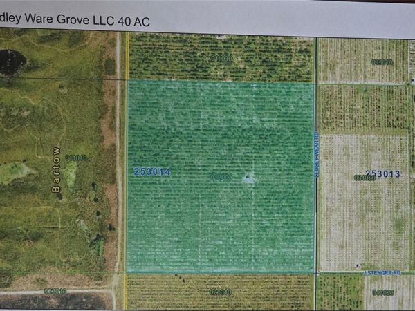 Lot 1 & 2 LEDLY WEAR ROAD, BARTOW, FL 33830