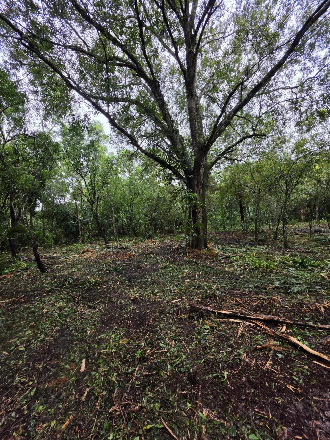 14566 11th Terrace, Loxahatchee Groves, FL 33470 Photo