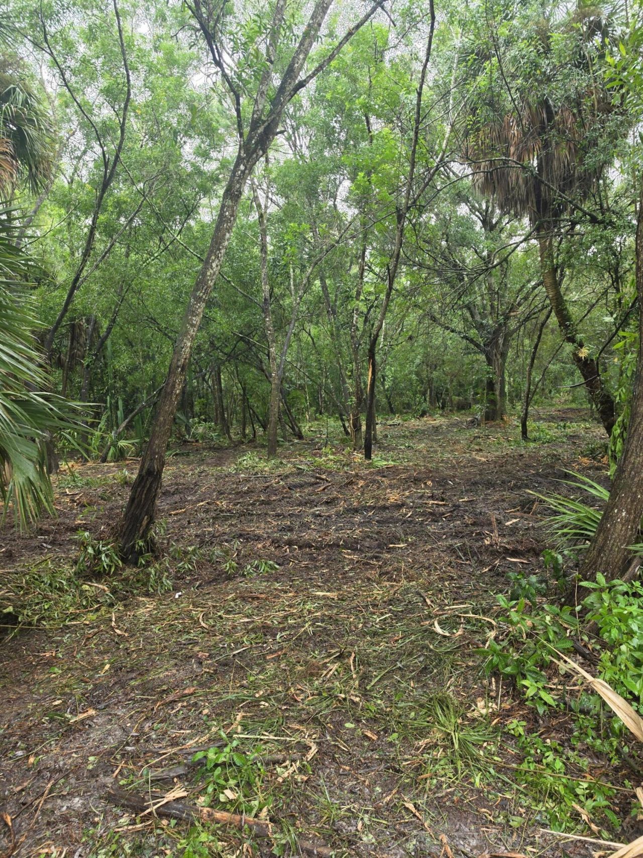 14566 11th Terrace, Loxahatchee Groves, FL 33470 Photo