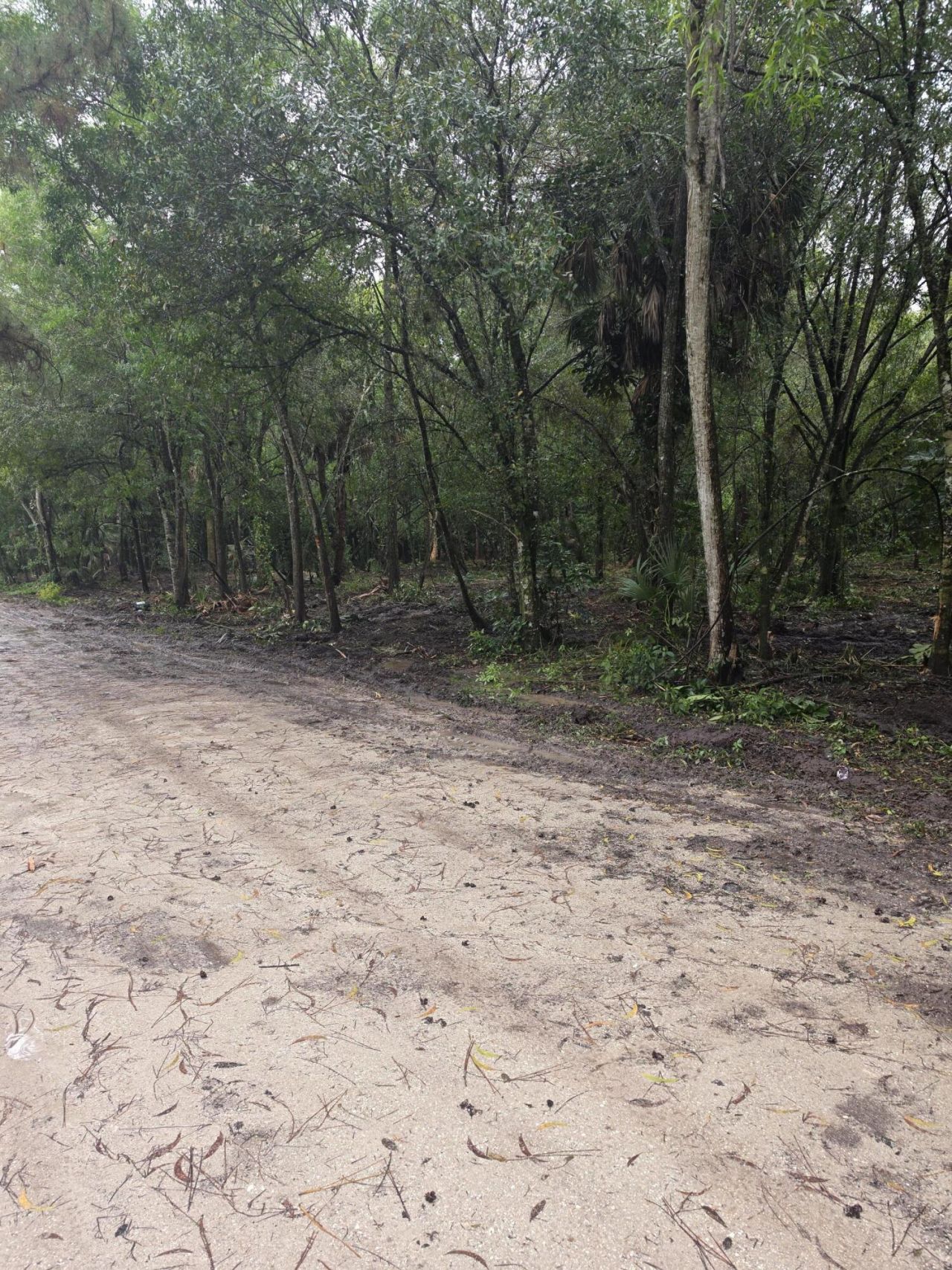 14566 11th Terrace, Loxahatchee Groves, FL 33470 Photo