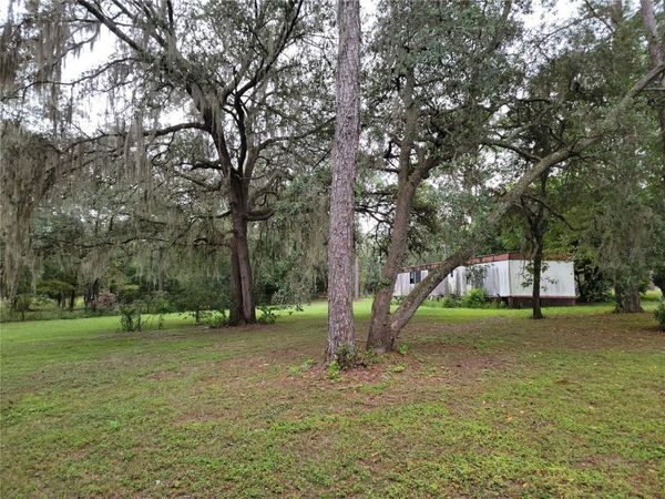 12231 NE 64 PLACE , WILLISTON, FL 32696