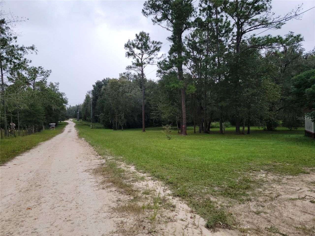 12231 NE 64 Place , Williston, FL 32696 Photo