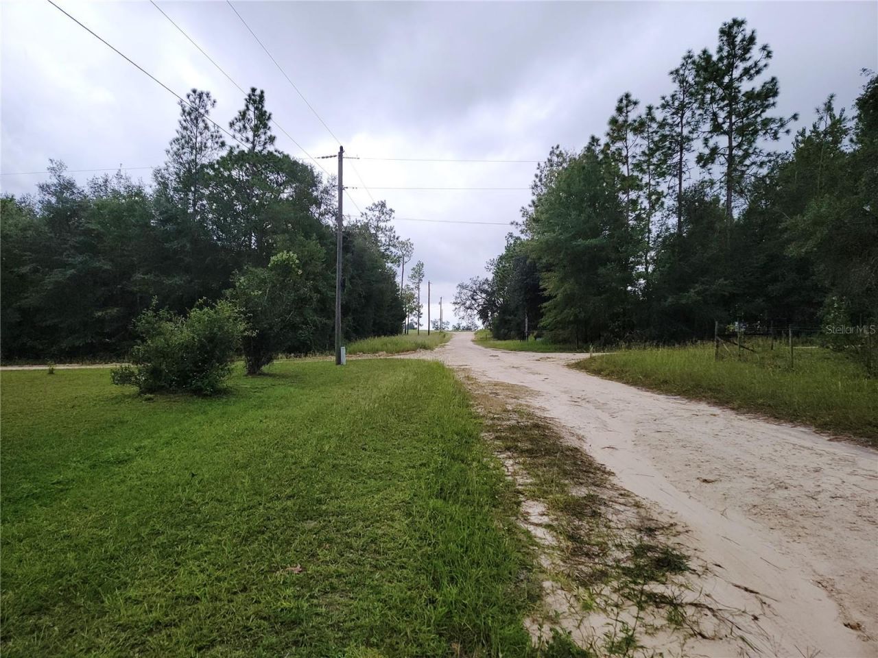12231 NE 64 Place , Williston, FL 32696 Photo