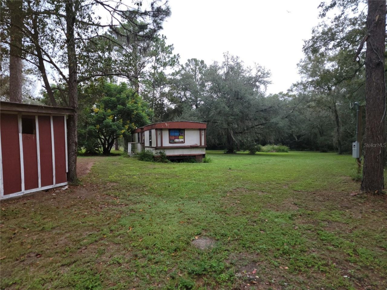 12231 NE 64 Place , Williston, FL 32696 Photo