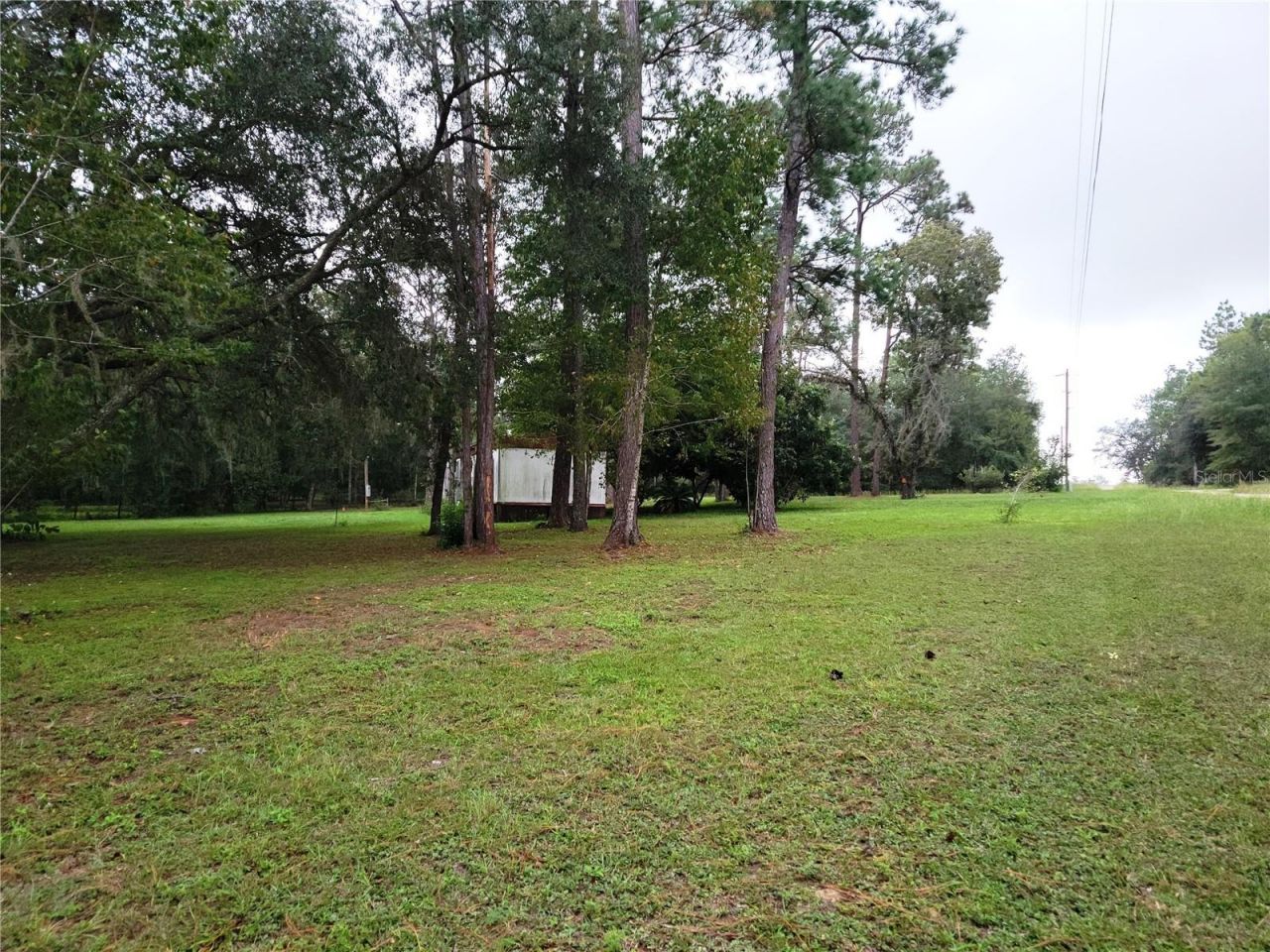 12231 NE 64 Place , Williston, FL 32696 Photo