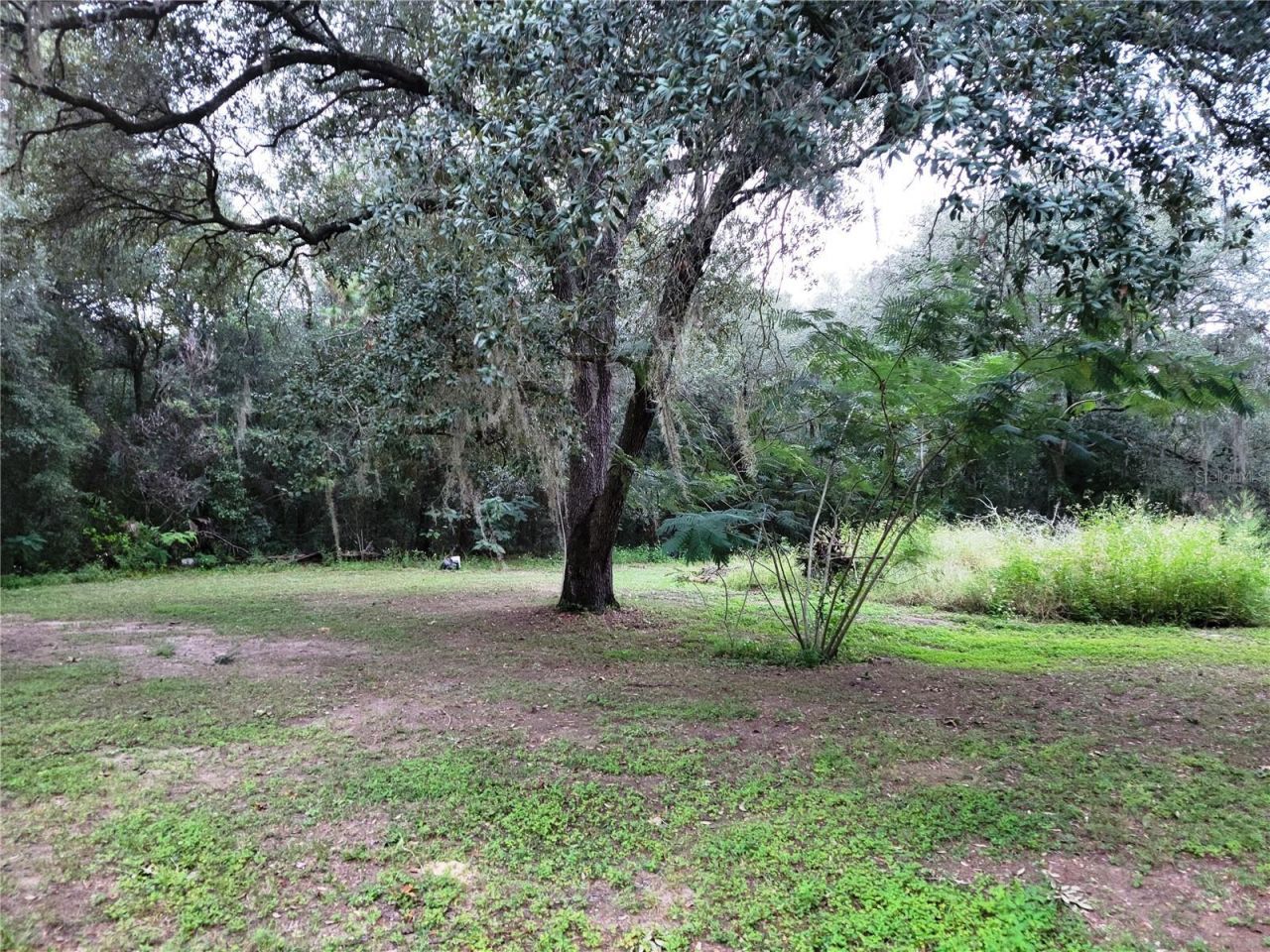 12231 NE 64 Place , Williston, FL 32696 Photo