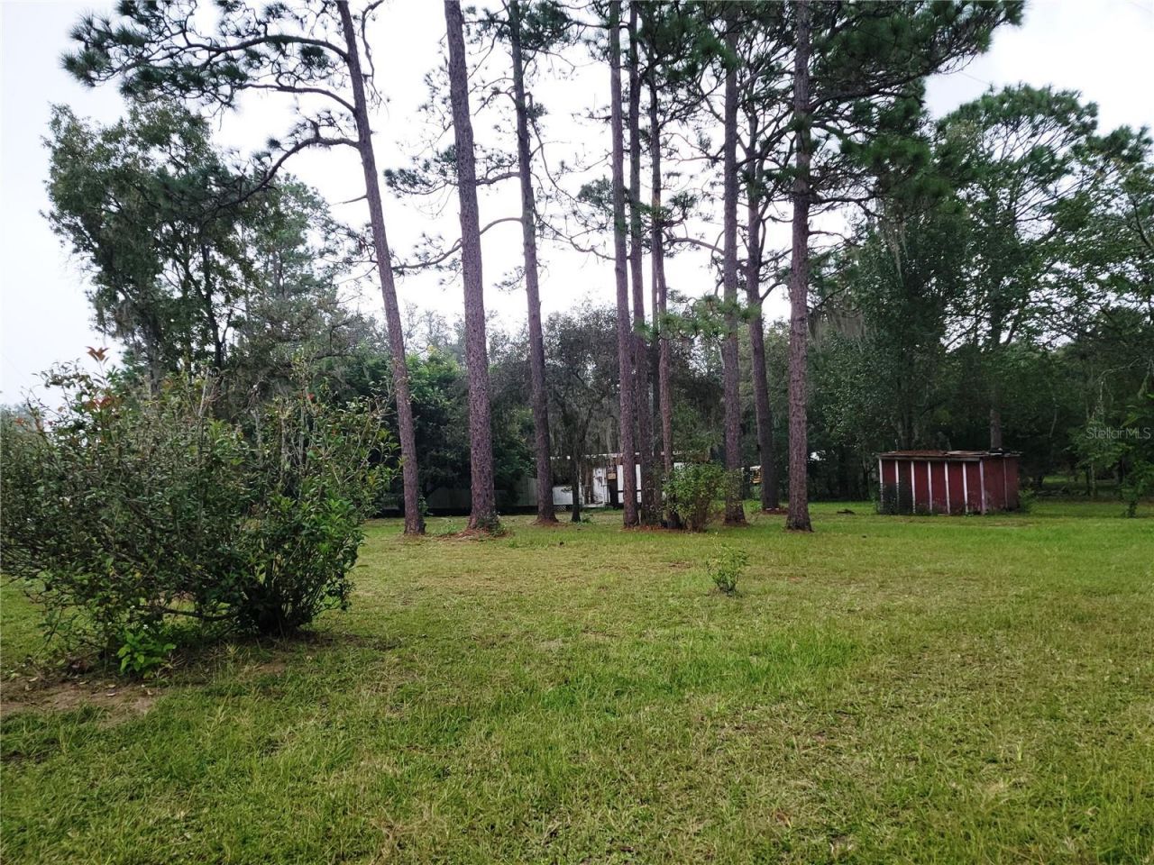 12231 NE 64 Place , Williston, FL 32696 Photo
