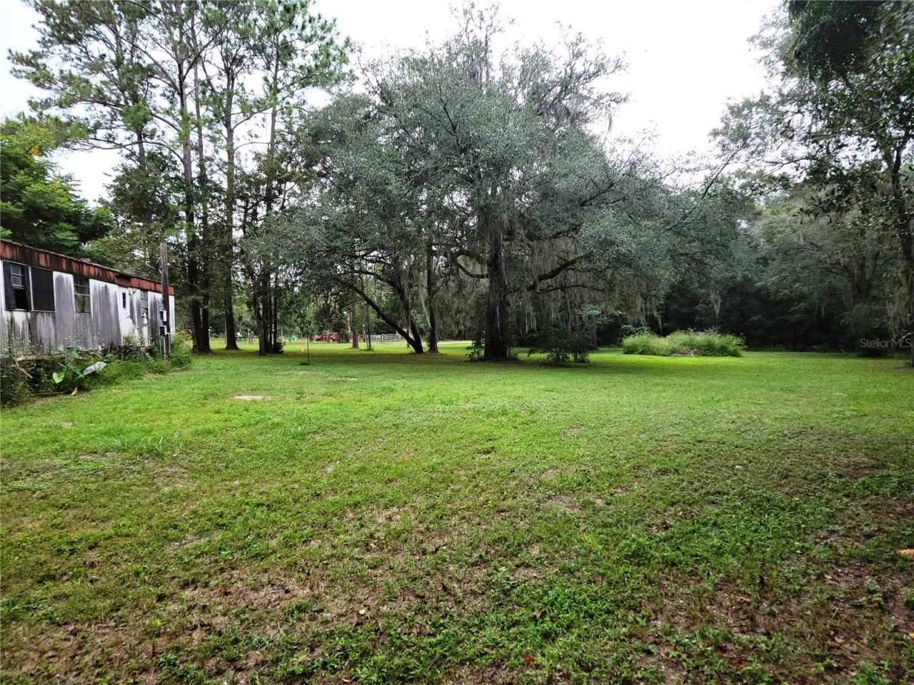 12231 NE 64 Place , Williston, FL 32696 Photo