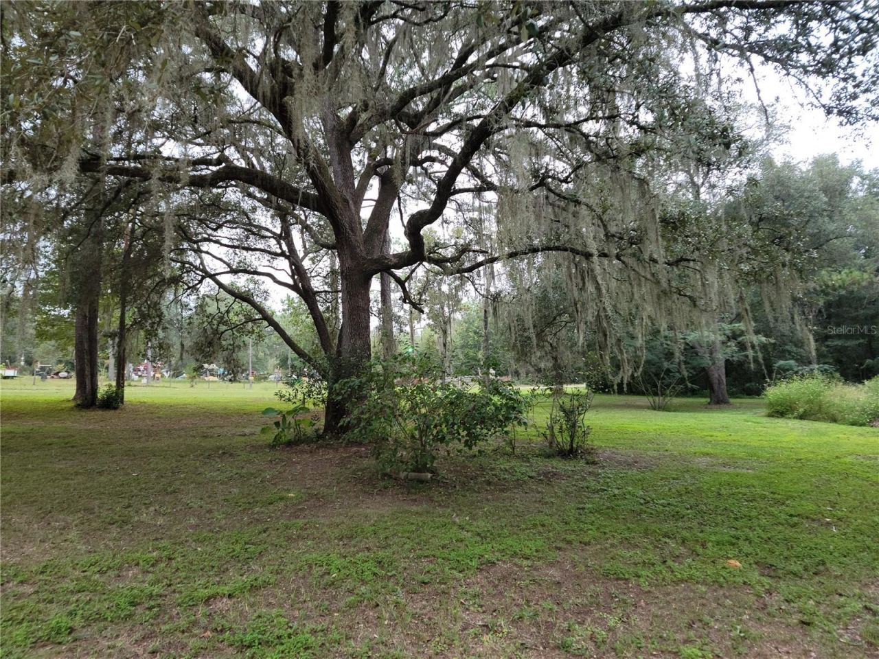 12231 NE 64 Place , Williston, FL 32696 Photo
