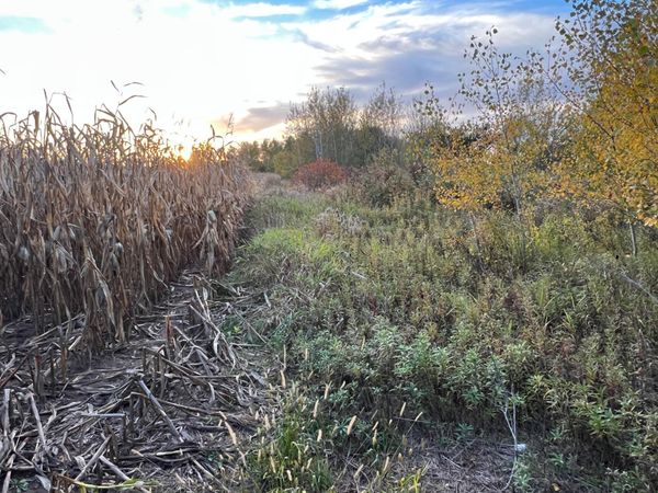 0000 Holly Rd , Pine City, MN 55063