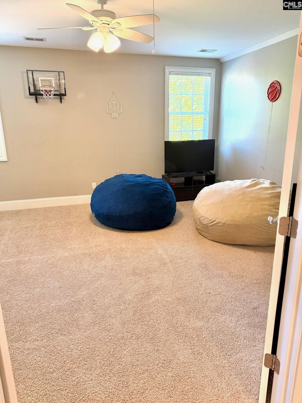 326 Dungannon Drive  Photo 29