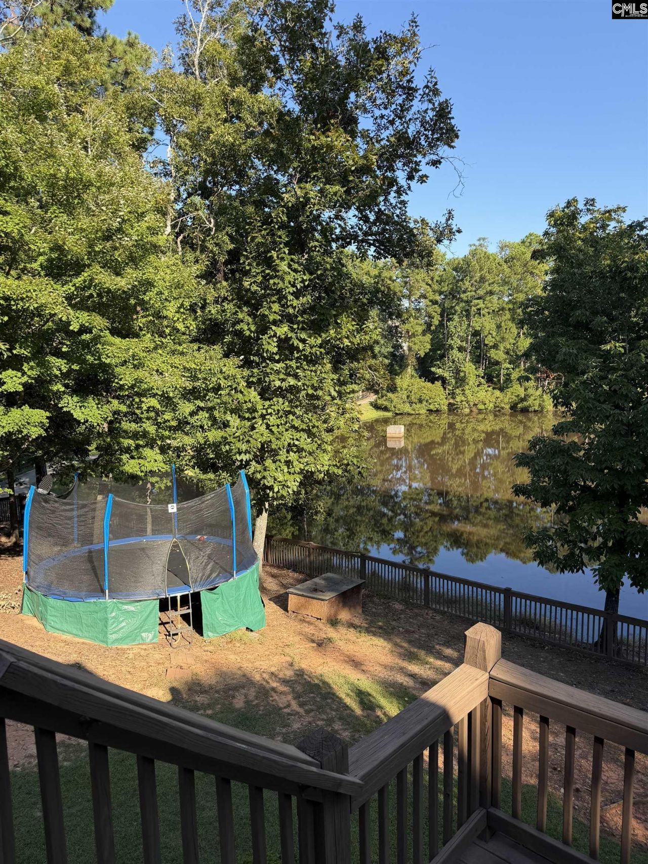 326 Dungannon Drive  Photo 47