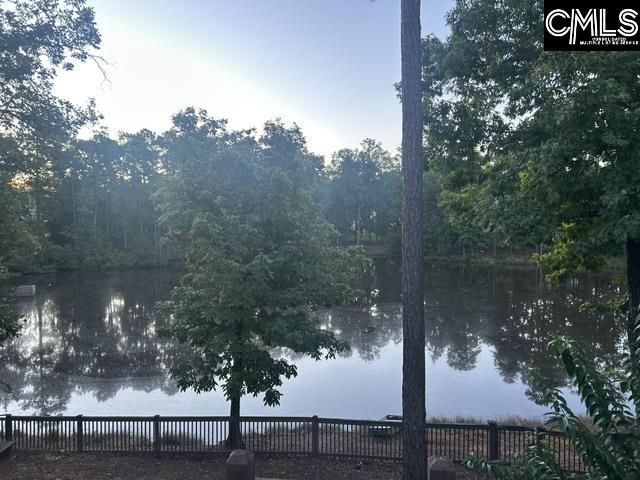 326 Dungannon Drive  Photo 49