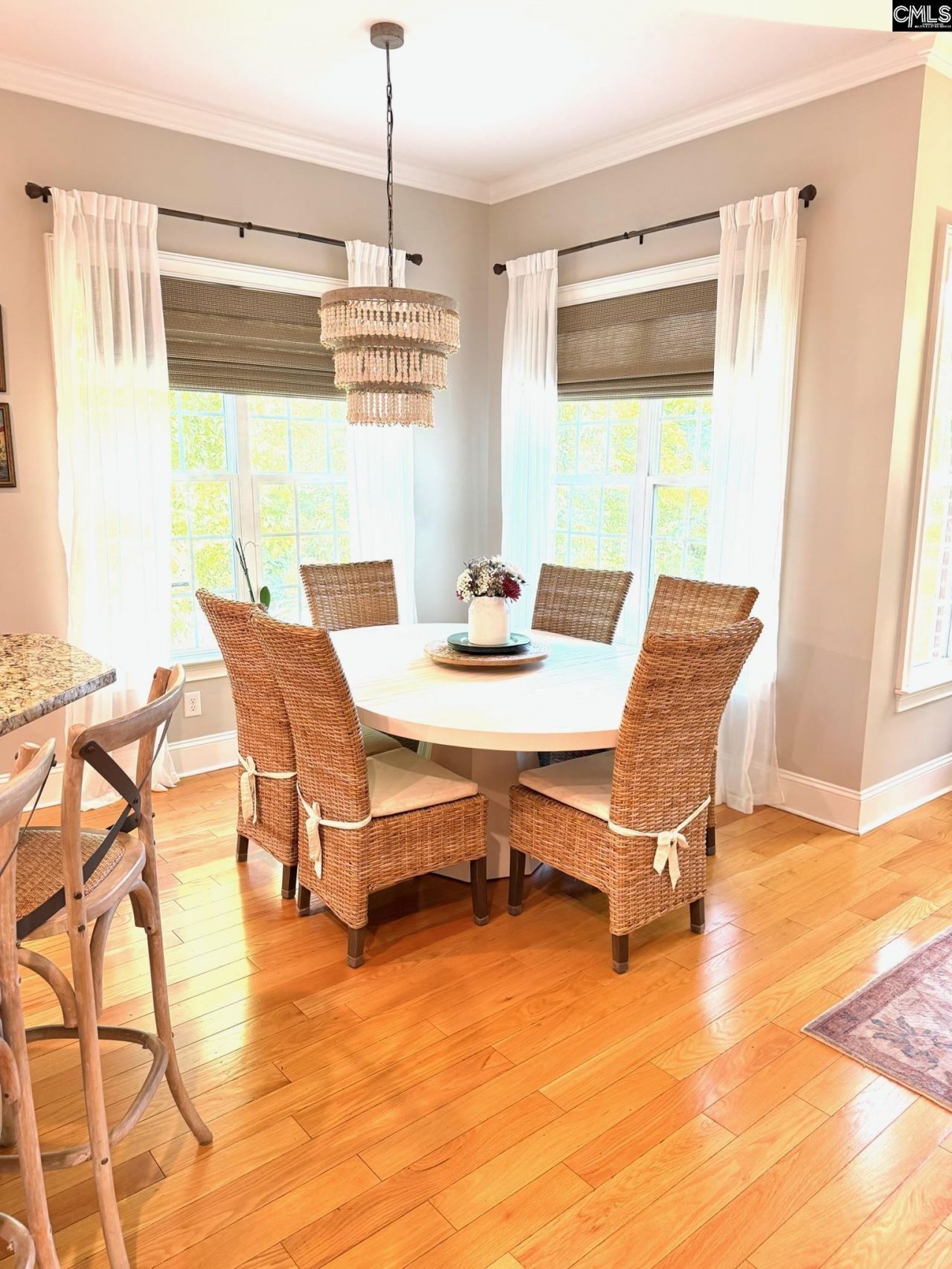 326 Dungannon Drive  Photo 9