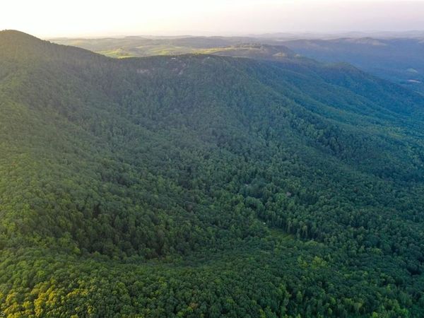 671 Ramey Orchard Road , Lowgap, NC 27024