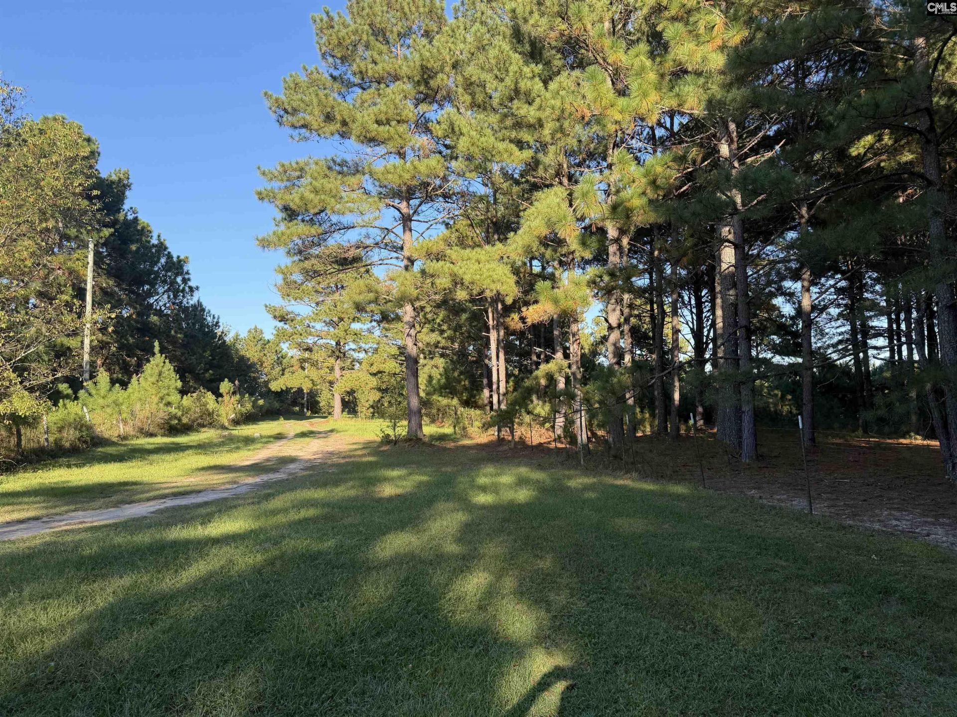 754 Athens School Road  Photo 5
