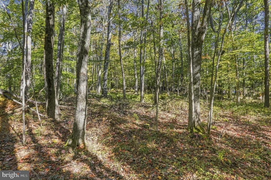 .94 Acres Mosser, Mc Henry, MD 21541 Main Photo
