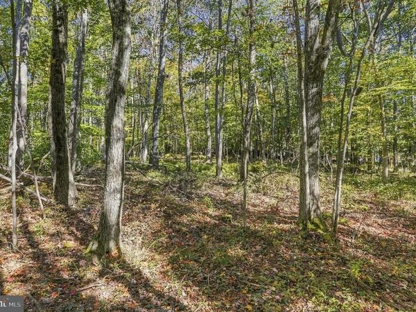 .94 ACRES MOSSER, MCHENRY, MD 21541