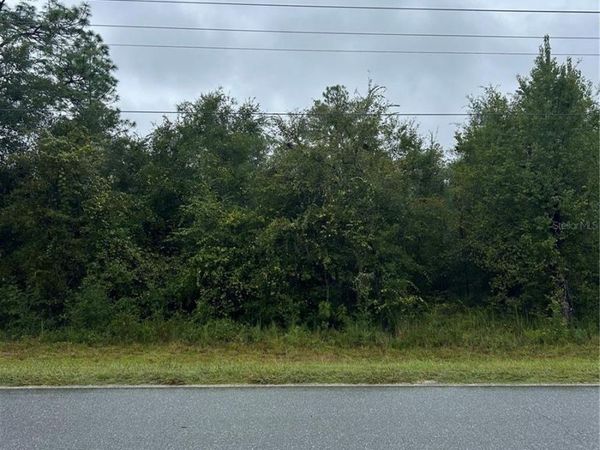 TBD NE 80TH AVENUE , BRONSON, FL 32621