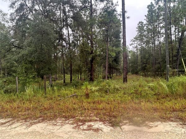 TBD NE 111TH LANE , BRONSON, FL 32621