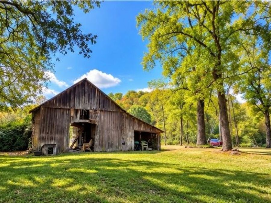 Property Image 13