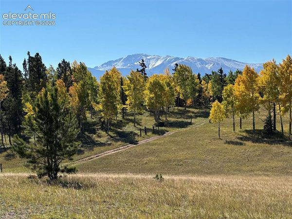 2940 North Road, Divide, CO 80814