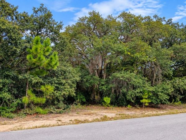 TBD SE MALAUKA LOOP RUN ROAD , OCKLAWAHA, FL 32179