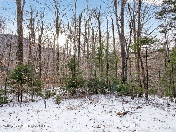 Tbd Roaring Kill Road, Elka Park, NY 12427
