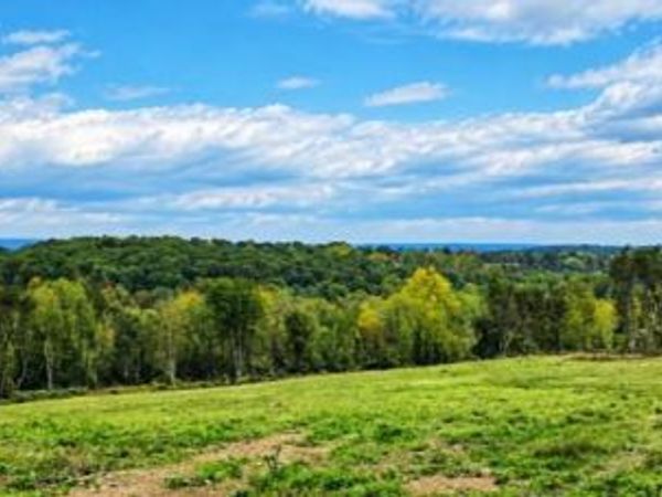 3167 ERLY ROAD, ELLIOTTSBURG, PA 17024