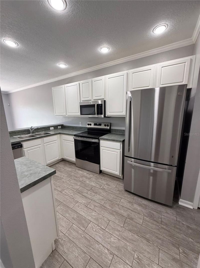 12316 Healey Summit Lane , Riverview, FL 33579 Photo