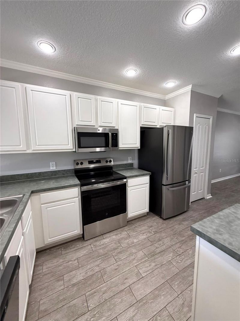 12316 Healey Summit Lane , Riverview, FL 33579 Photo