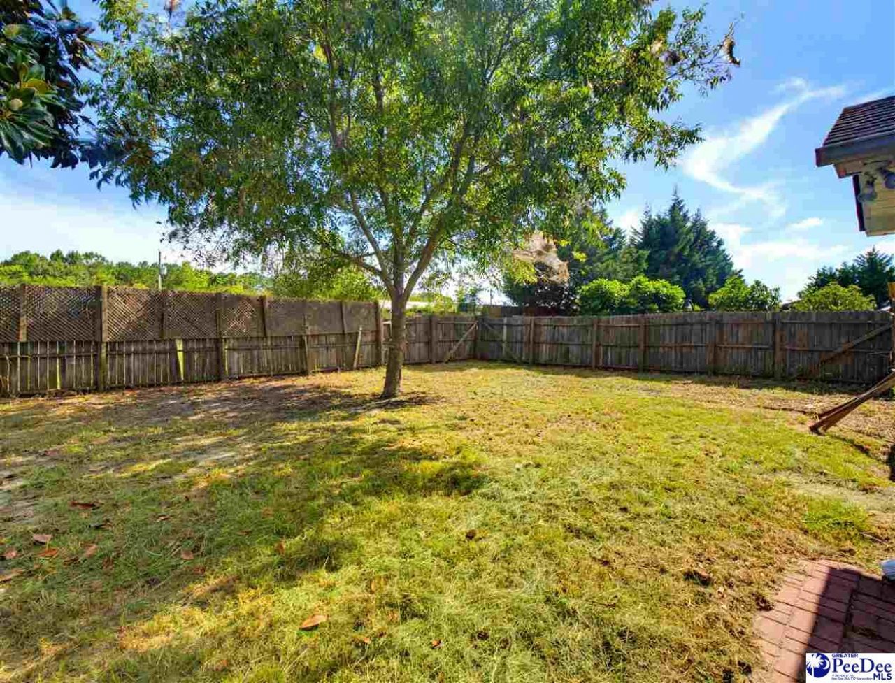 459 Hallie Martin Rd Photo 61