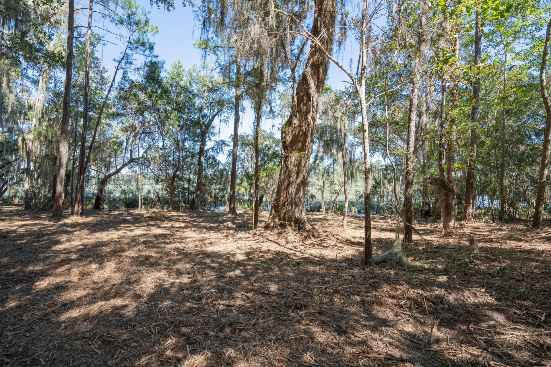 501 Paige Point Road Photo 10