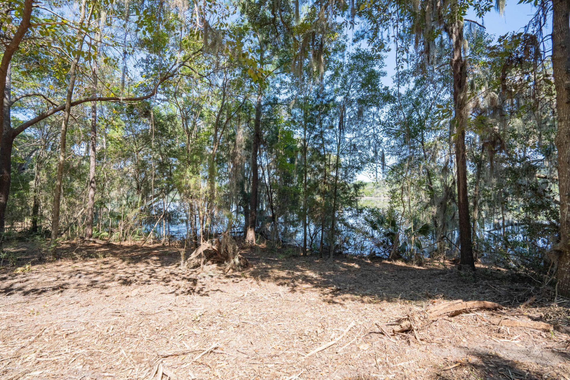 501 Paige Point Road Photo 11