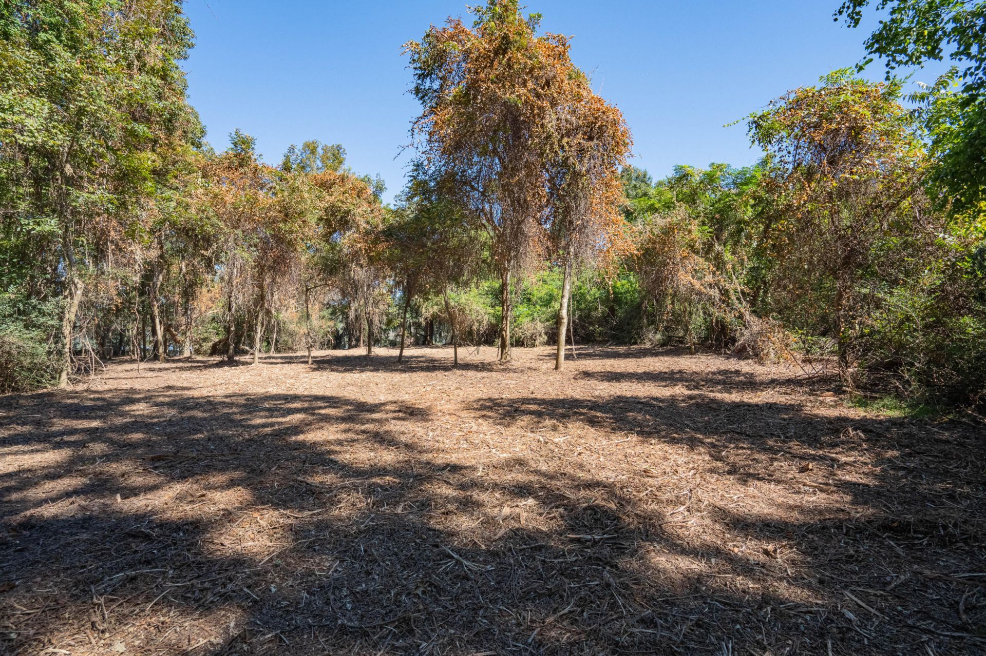 501 Paige Point Road Photo 12