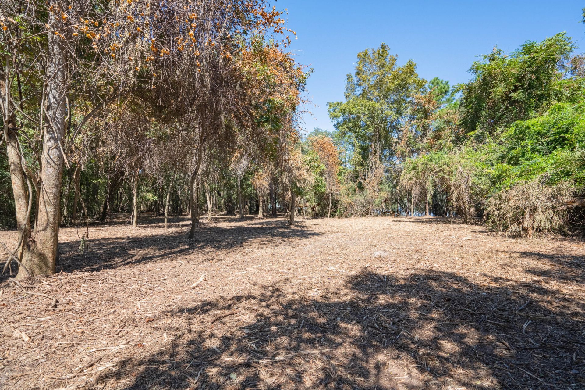501 Paige Point Road Photo 13