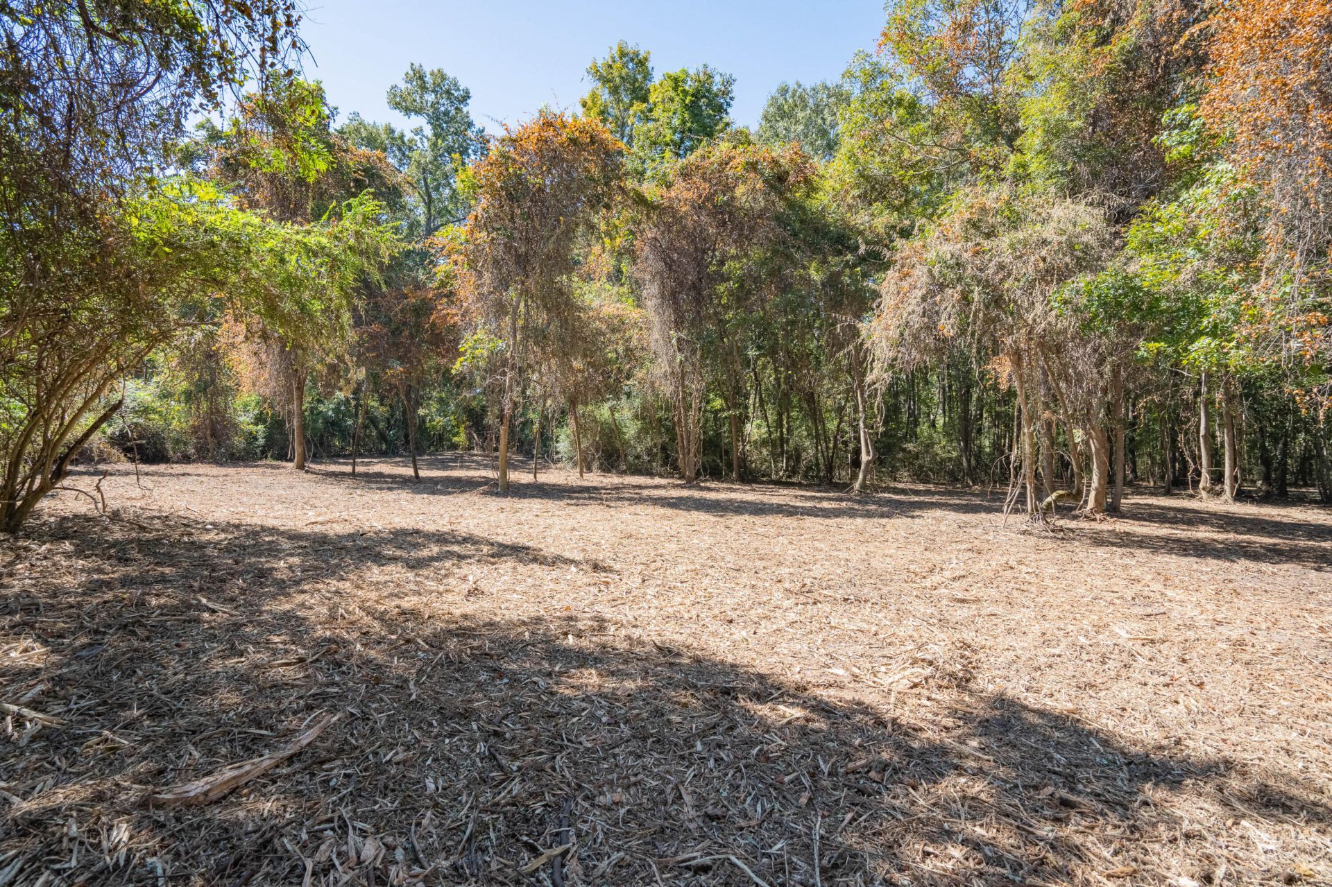 501 Paige Point Road Photo 14