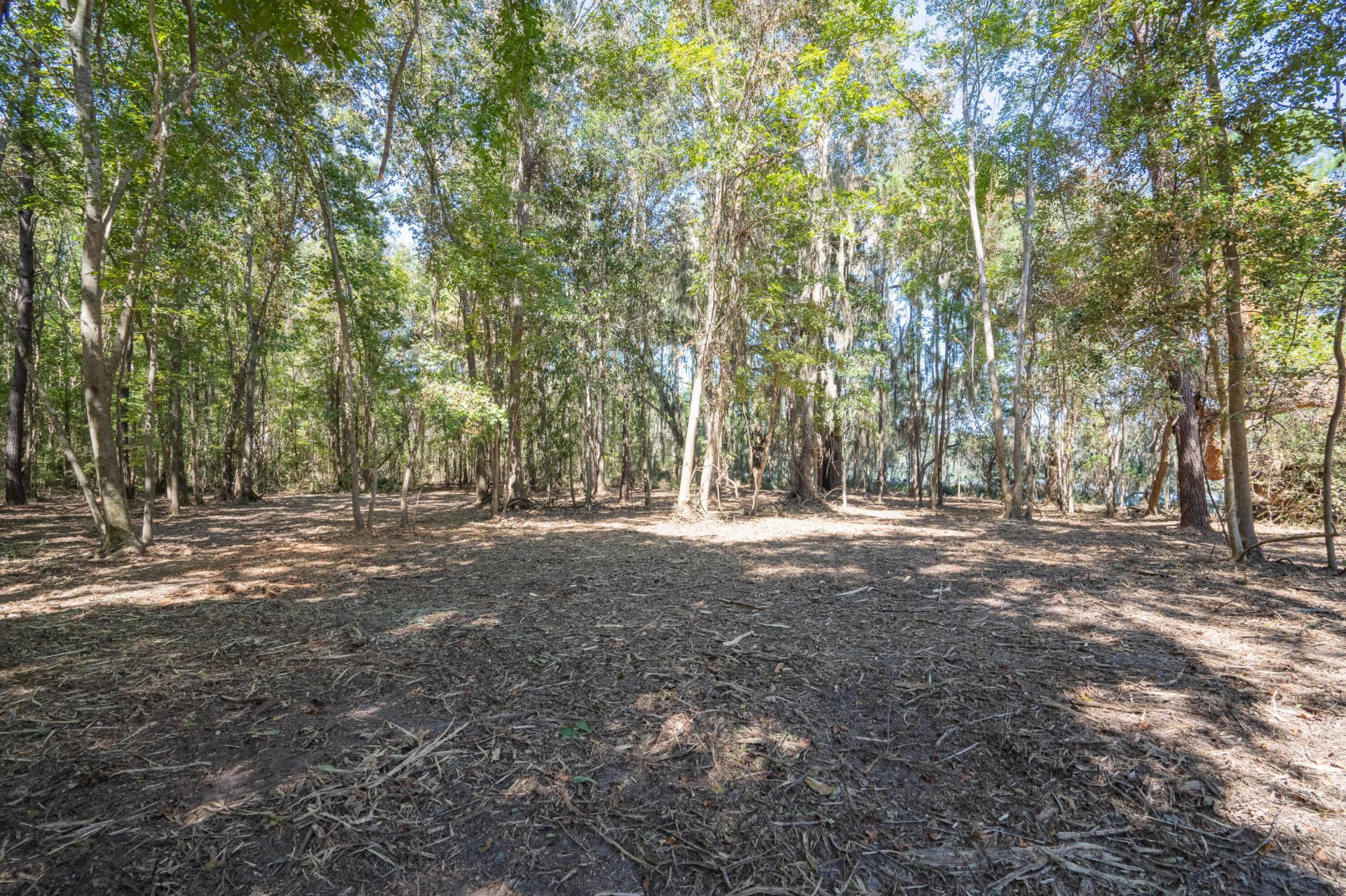 501 Paige Point Road Photo 16