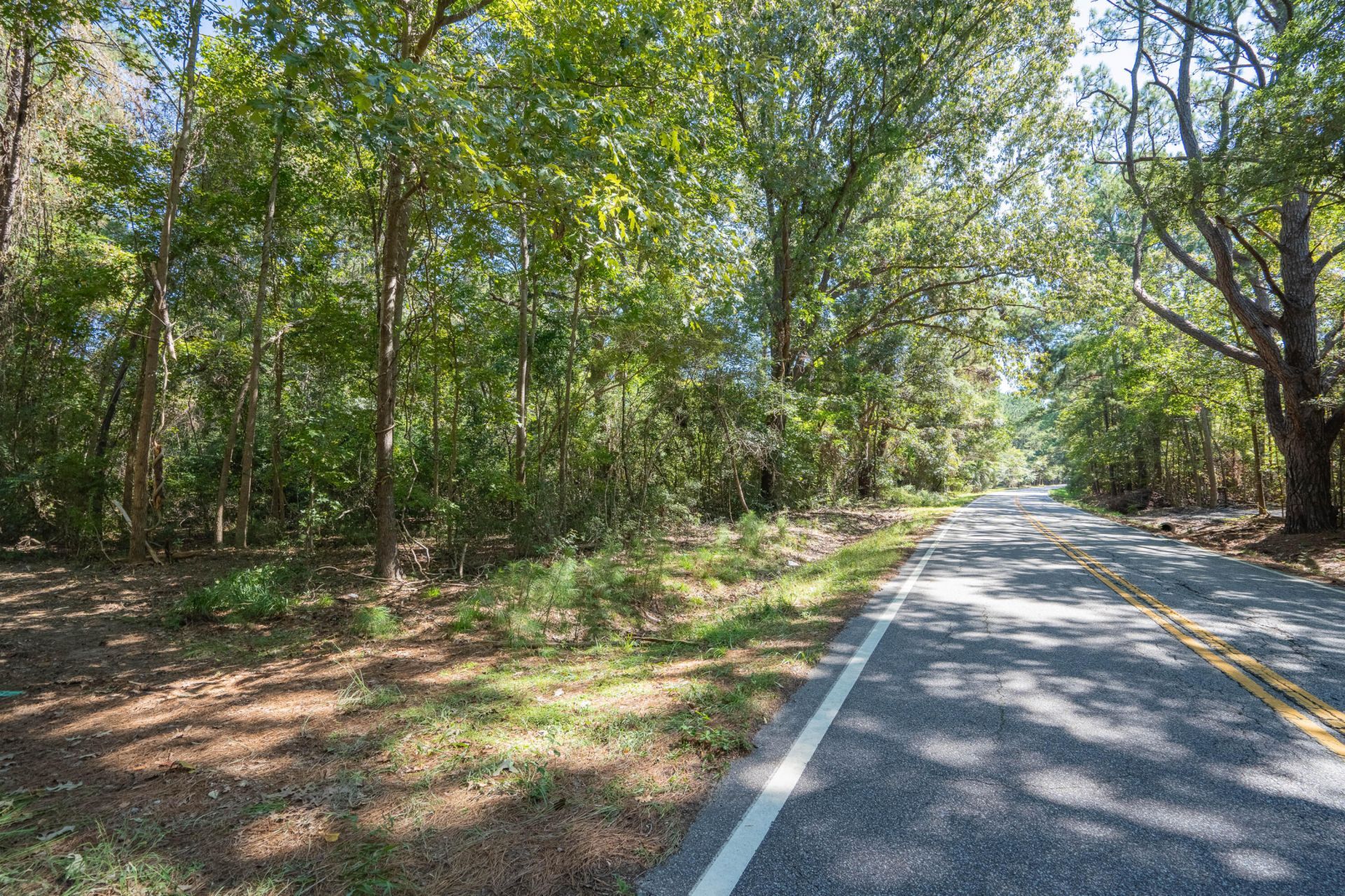 501 Paige Point Road Photo 22