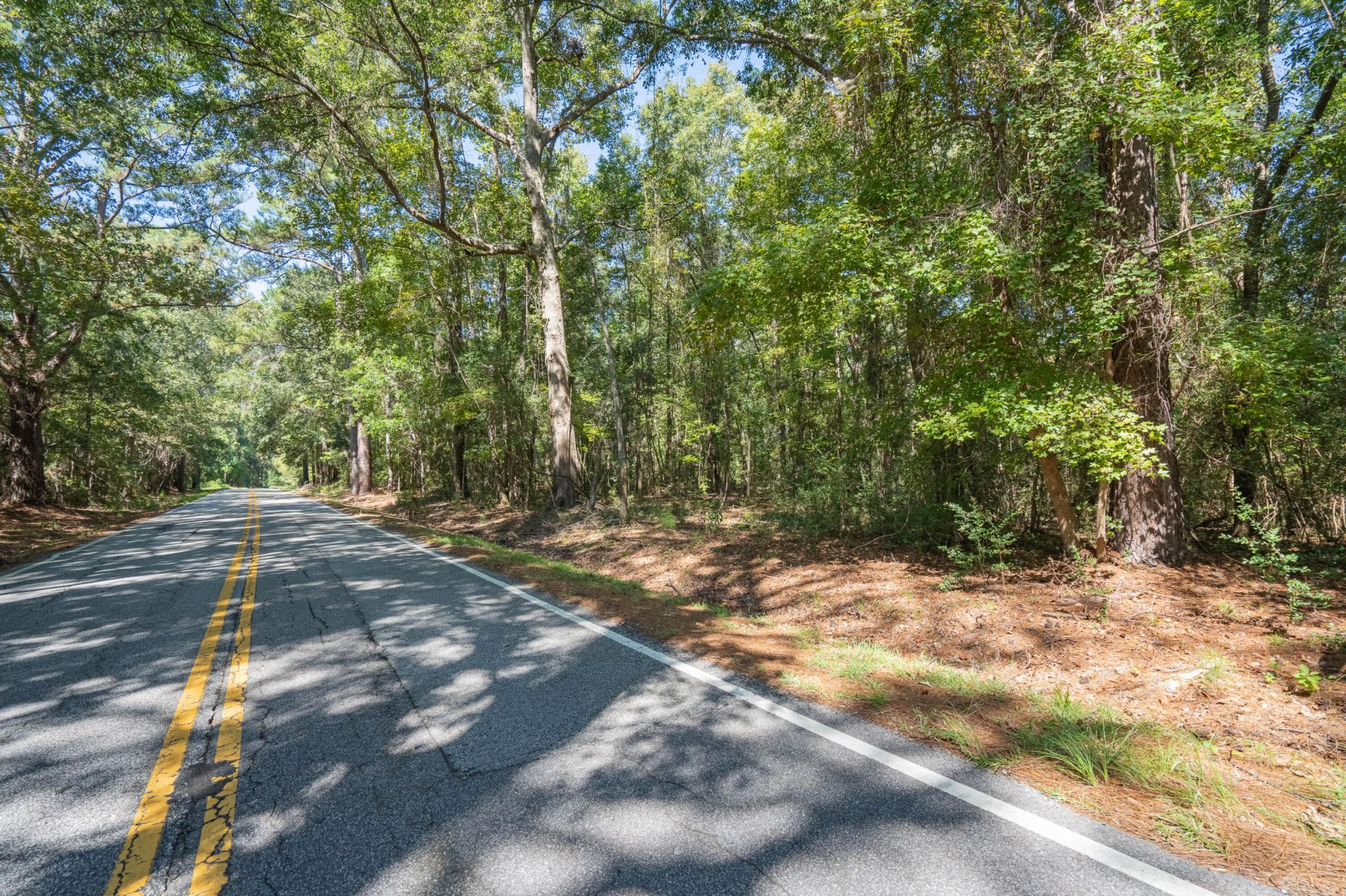 501 Paige Point Road Photo 23