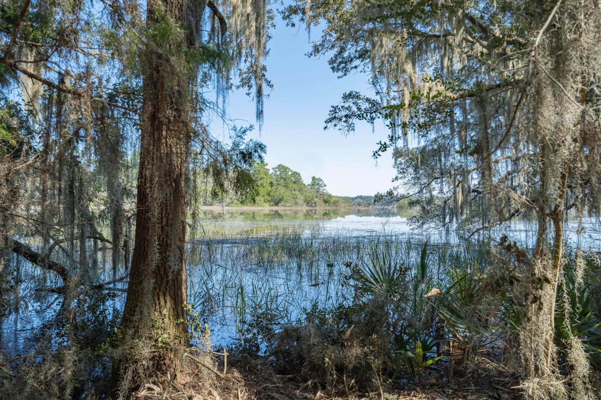 501 Paige Point Road Photo 4