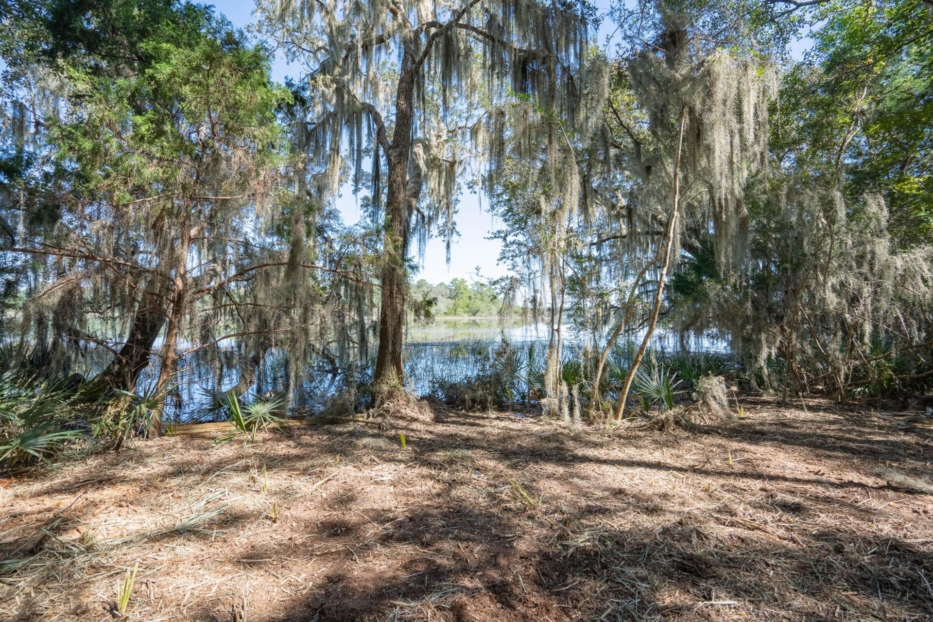 501 Paige Point Road Photo 5