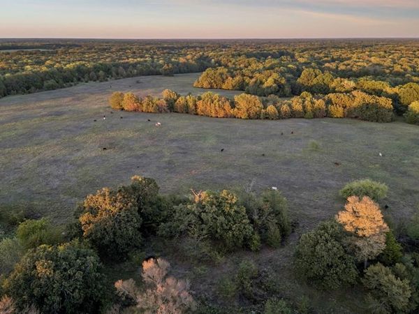 TBD RS County Road 4310, Point, TX 75472