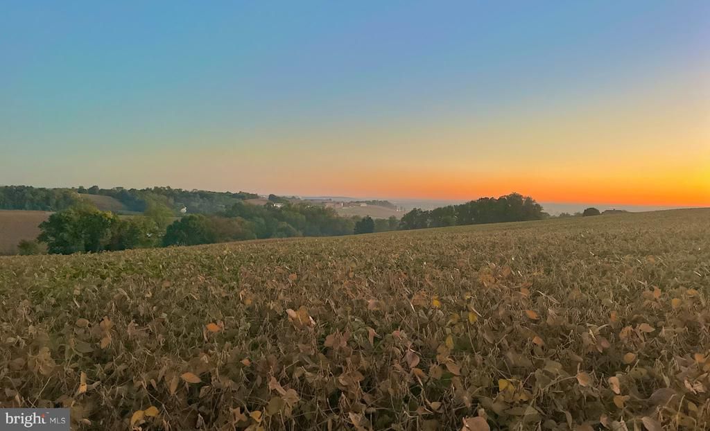 3180 RIVER ROAD , CONESTOGA, PA 17516